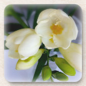 白色黄色斑 コースター (正面)