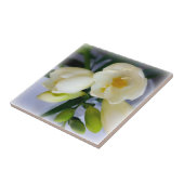 白色黄色斑 タイル (側面)