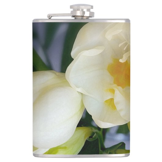 白色黄色斑 フラスク (正面)