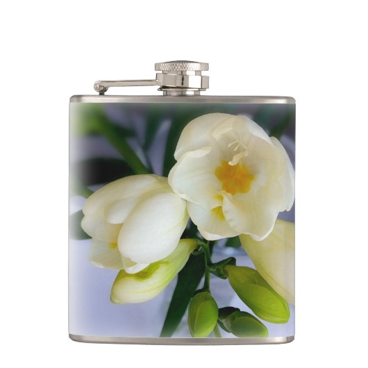 白色黄色斑 フラスク (正面)