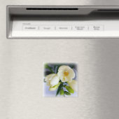 白色黄色斑 マグネット (インサイチュ (食洗機))