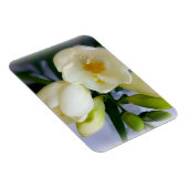 白色黄色斑 マグネット (右側)