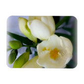 白色黄色斑 マグネット (横)