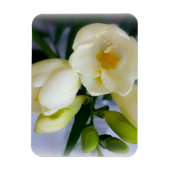 白色黄色斑 マグネット (縦)