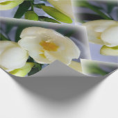 白色黄色斑 ラッピングペーパー (角)