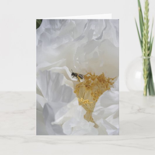白芍と蜂の花の写真撮影 カード (正面)