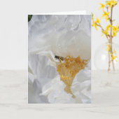 白芍と蜂の花の写真撮影 カード (黄色い花)