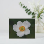 白花びら ポストカード (スタンド正面)