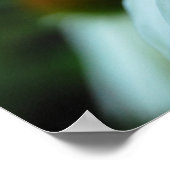 白花びら、花(ポスタープリント) ポスター (角)