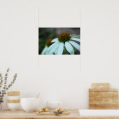 白花びら、花(ポスタープリント) ポスター (キッチン)