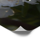 白花ポスター ポスター (角)