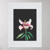 白花モダンアートII ポスター (正面)