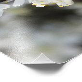 白花写真撮影プリント フォトプリント            (角)