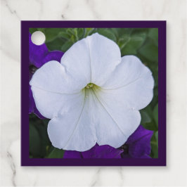 白花写真美しいAshes Bible Verse フェイバータグ