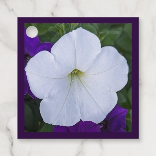 白花写真美しいAshes Bible Verse フェイバータグ (正面)