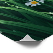 白花壁芸術 ポスター (角)