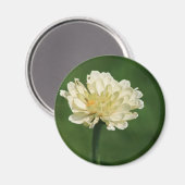 白花磁石 マグネット (正面/裏面)