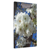 白花観賞用ナシの木 クリップボード (右)