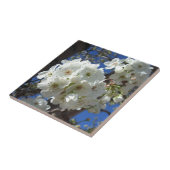 白花観賞用ナシの木 タイル (側面)