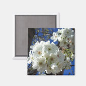 白花観賞用ナシの木 マグネット (正面/裏面)