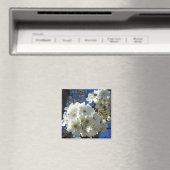 白花観賞用ナシの木 マグネット (インサイチュ (食洗機))