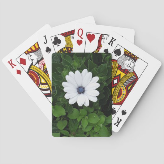 白花遊のカード トランプ (裏面)