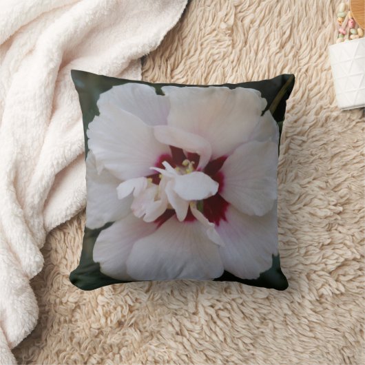 白花 クッション (ブランケット)