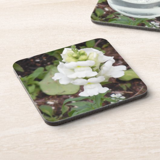 白花 コースター (左側)