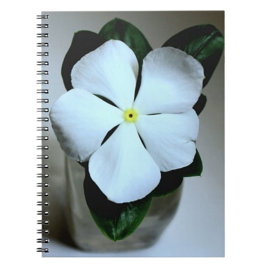 白花 ノートブック (正面)