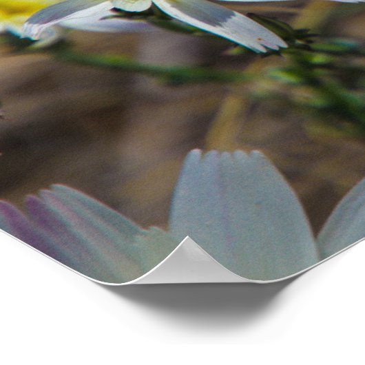 白花 ポスター (角)