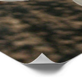 白花 ポスター (角)