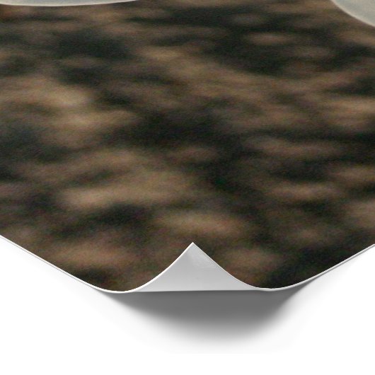 白花 ポスター (角)