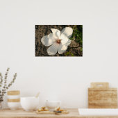 白花 ポスター (キッチン)