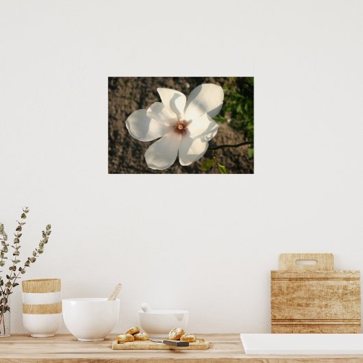 白花 ポスター (キッチン)