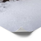 白花 ポスター (角)