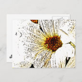 白花 ポストカード (正面/裏面)