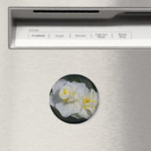 白花 マグネット (インサイチュ (食洗機))