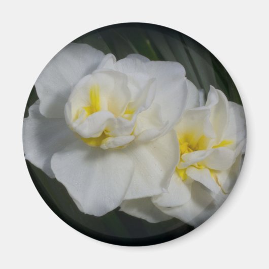 白花 マグネット (正面)