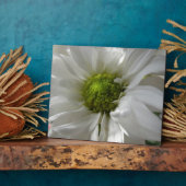 白菊の花 フォトプラーク (側面)