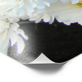 白菊の花 フォトプリント            (角)