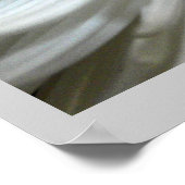 白菊の花Mums花写真 ポスター (角)