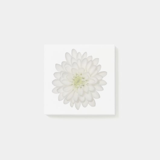 白菊付箋 ポストイット (正面)