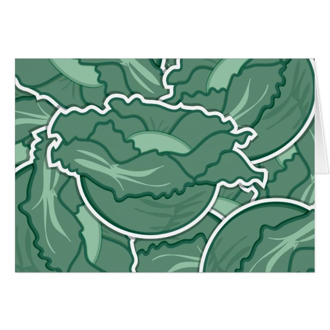 白菜ファンキー菜 (正面横)