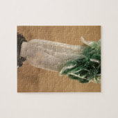 白菜、韓国語、19世紀(ヒスイ) ジグソーパズル (横)