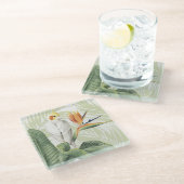 白葉鳥ヤシ ガラスコースター (アングル)