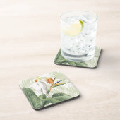 白葉鳥ヤシ コースター (右側)