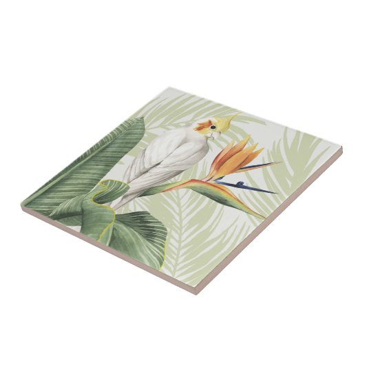 白葉鳥ヤシ タイル (側面)