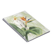 白葉鳥ヤシ ノートブック (右側)