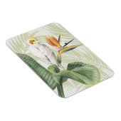 白葉鳥ヤシ マグネット (右側)