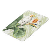 白葉鳥ヤシ マグネット (左側)